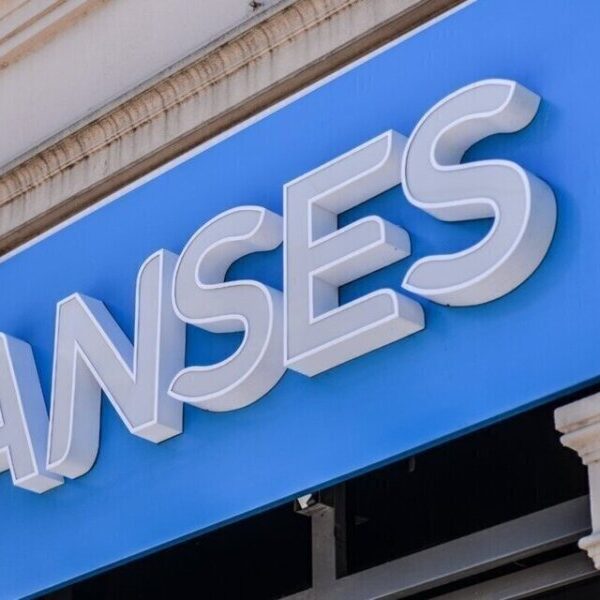 ANSES: quiénes cobran este lunes 29 de enero 2024