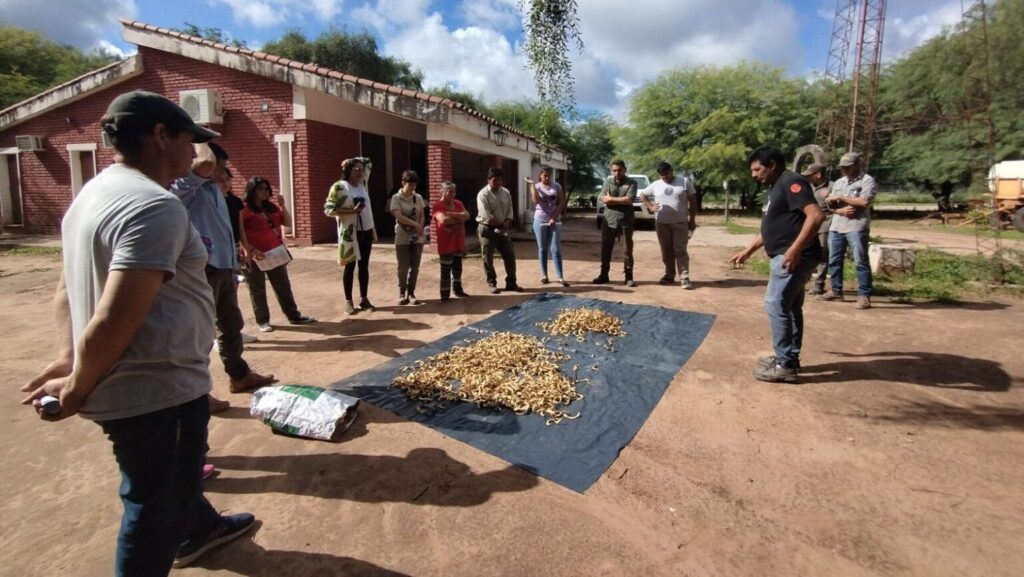 Productores de Copo fueron capacitados sobre Algarroba