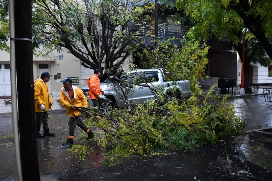 El Comité de Emergencia de la Municipalidad trabaja para despejar la vía pública tras los daños del temporal