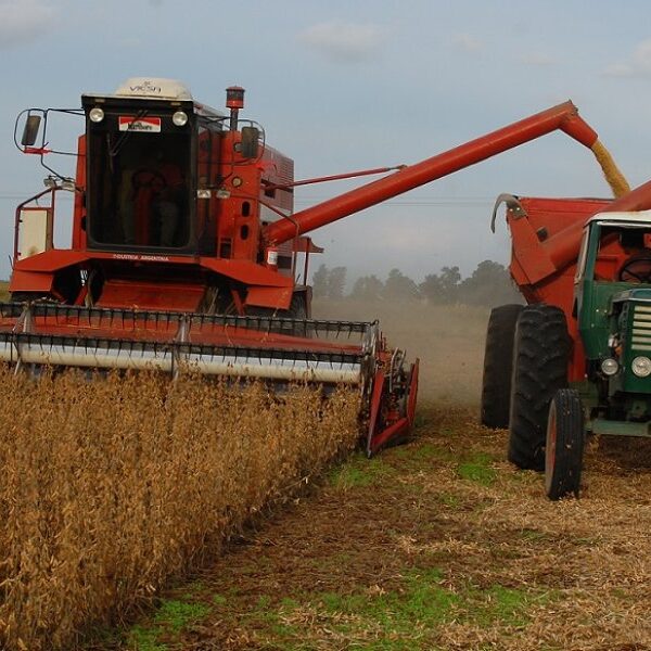 No habrá “súper cosecha” y entrarán menos dólares de lo esperado