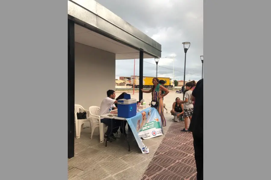 Operativo de vacunación a mascotas santiagueñas