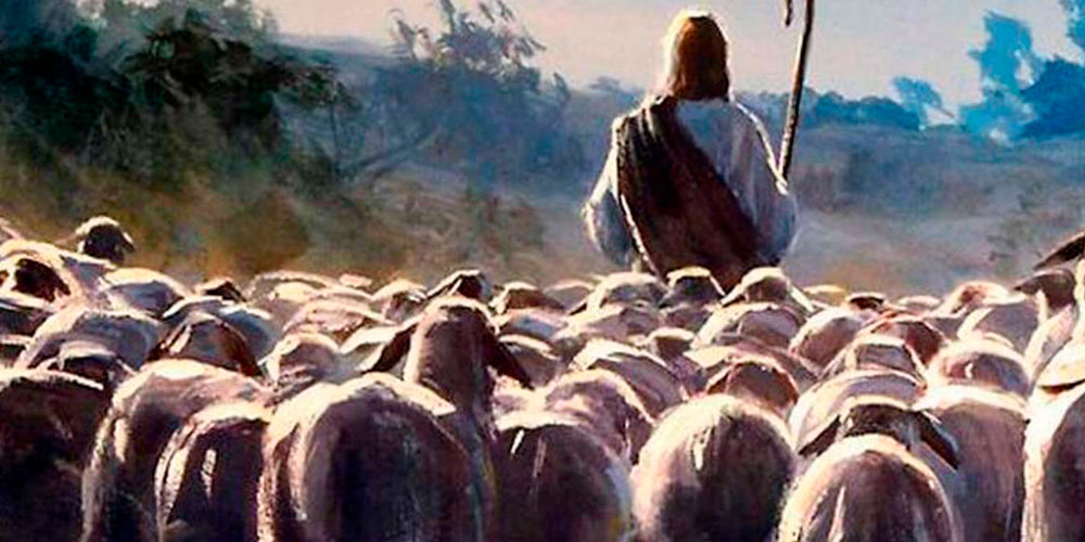 Juan 10, 22-30: IV Martes de Pascua