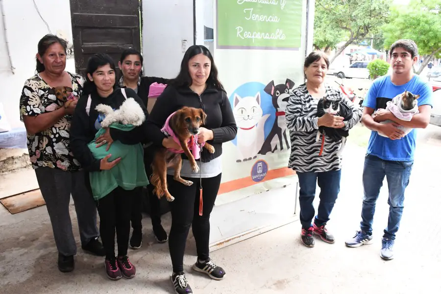 El programa de Zoonosis de la Municipalidad continuó con la posta de esterilizaciones gratuitas de mascotas