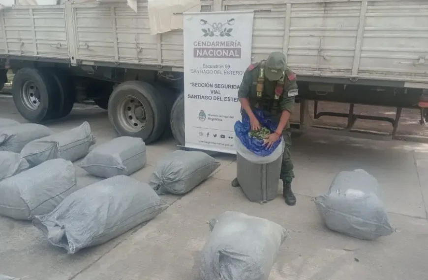 Operativo de Gendarmeria Nacional «Azúcar amargo» incautó casi 900 kilos de hojas de coca