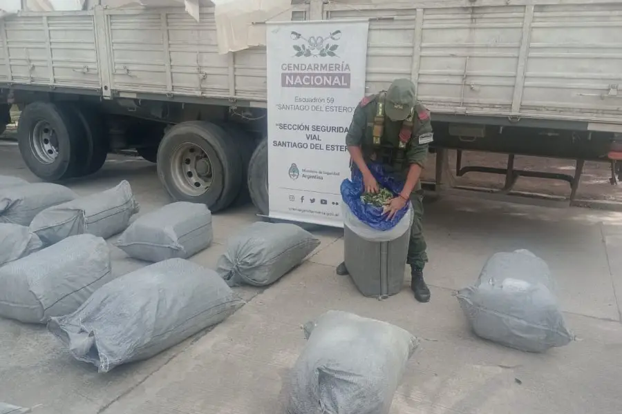 Operativo de Gendarmeria Nacional «Azúcar amargo» incautó casi 900 kilos de hojas de coca