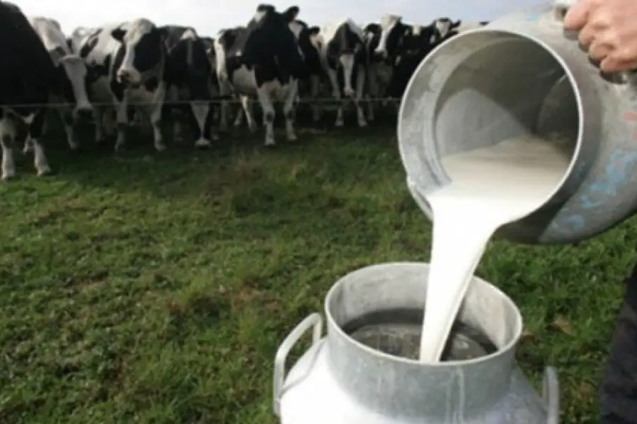 Advierten que la producción de leche es la más baja de los últimos cinco años