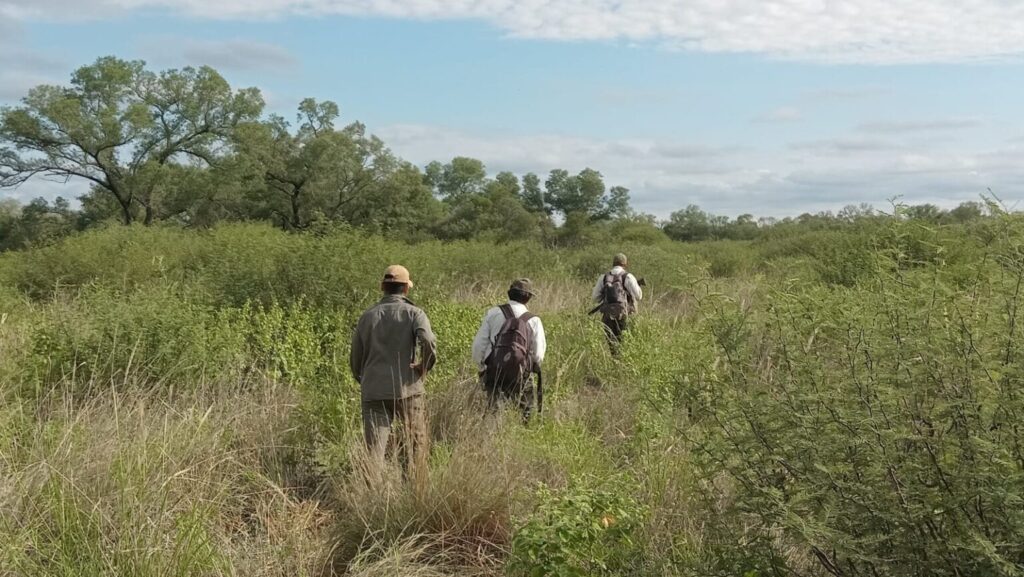 Bosques y Fauna continúa realizando operativos de control y fiscalización en el interior provincial