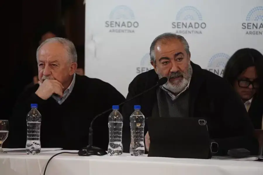 Ley Bases en el Senado: la CGT y la CTA criticaron la reforma laboral y exigieron cambios