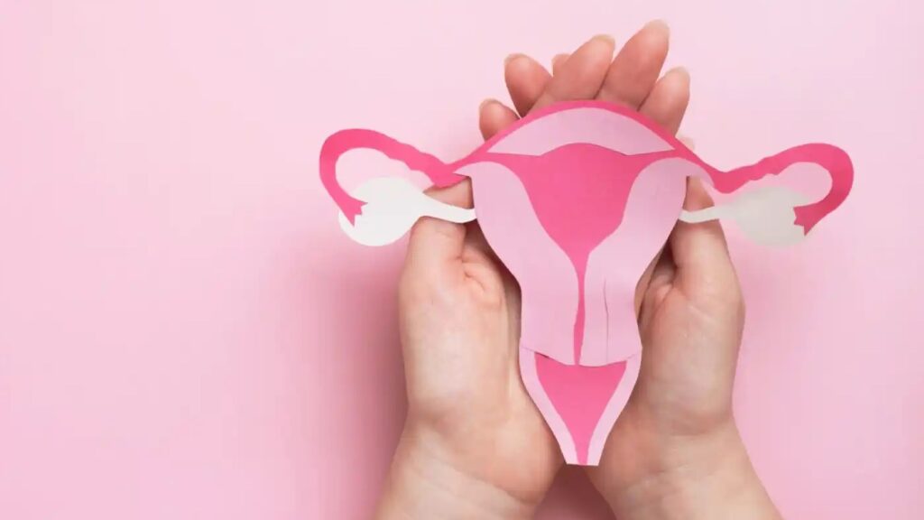 Invitan a participar del Encuentro de Acción por la Salud de las Mujeres “Kermenstrual”