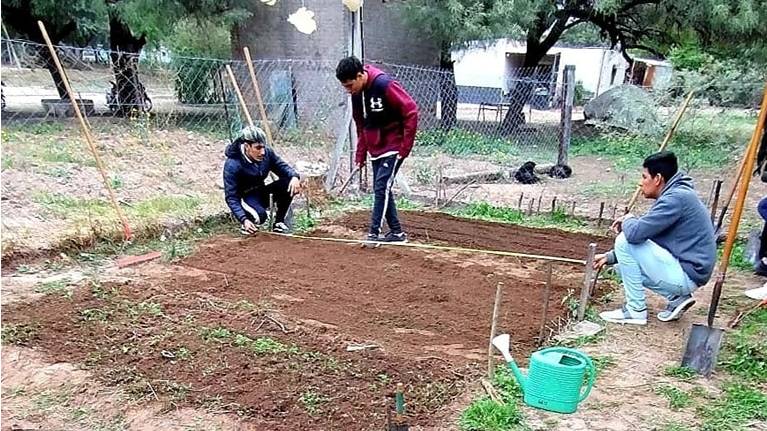 Escala Metas: transformación de la huerta escolar en Cañada Escobar para una economía autosustentable