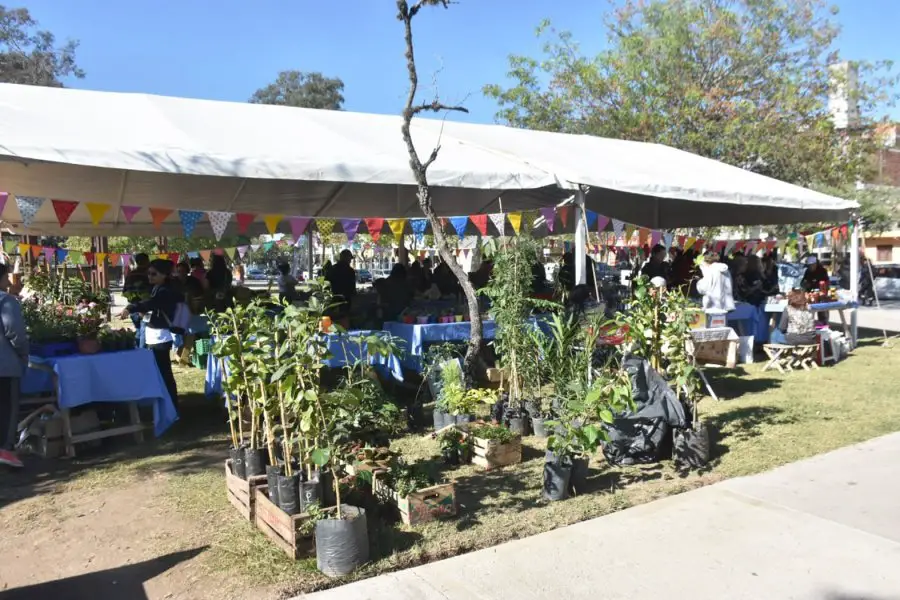 Se viene la Semana del Bienestar con diferentes actividades