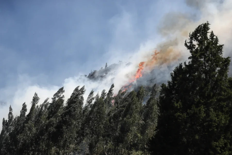 Incendio dejó graves consecuencias en bosques de Bolivia y Brasil