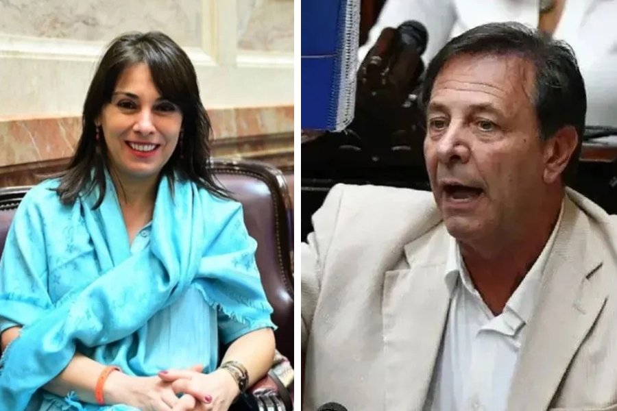 Oscar Zago confirmó que Lucila Crexell vendió su voto para la Ley Bases