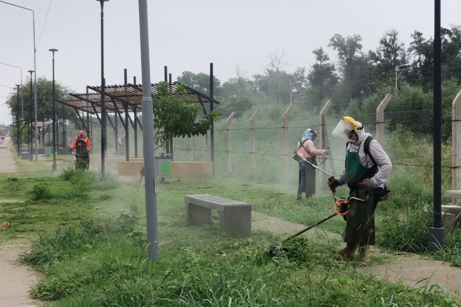 Así funcionarán los servicios municipales previstos para el fin de semana largo en la Banda