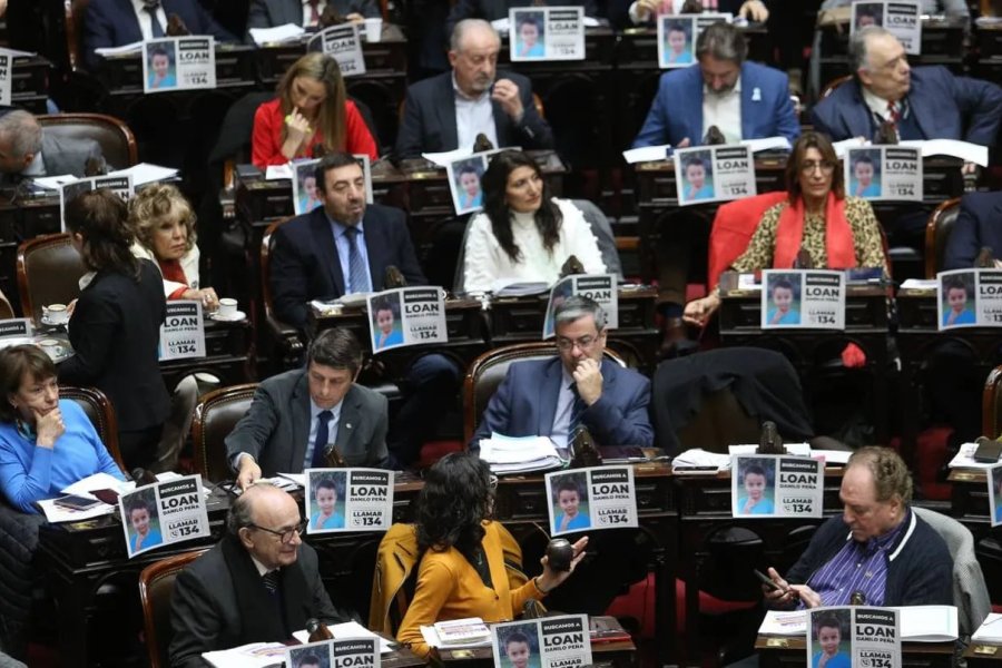 «Buscamos a Loan”, los carteles que pegaron un grupo de diputados en la sesión por la Ley Bases