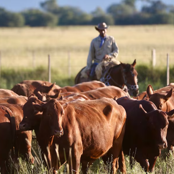 Tras seis meses de caída, la actividad económica creció 2,3% en mayo