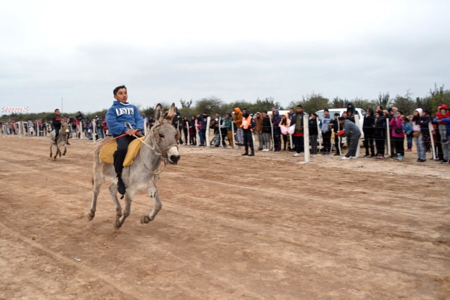 Vaca Human: Se corrió el tradicional rally de burros ante una multitud