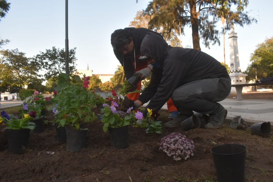 Frías: Sigue la distribución de plantas florales en distintos espacios verdes