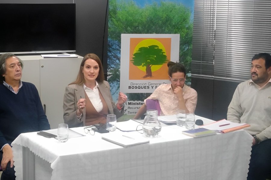 Reunión técnica de cara a nueva convocatoria de proyectos de manejo de bosques con ganadería integrada (MBGI)