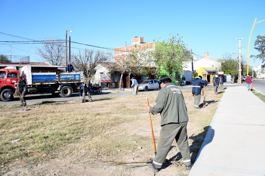 La Municipalidad inició la plantación de más de 2800 árboles en el barrio Cáceres