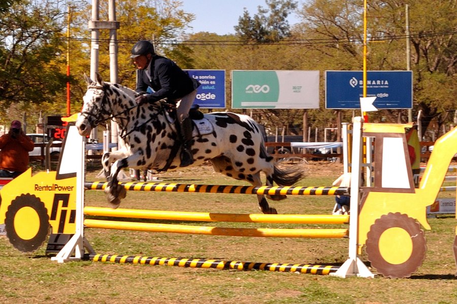 Torneo Regional de Saltos Hípicos en el parque Aguirre