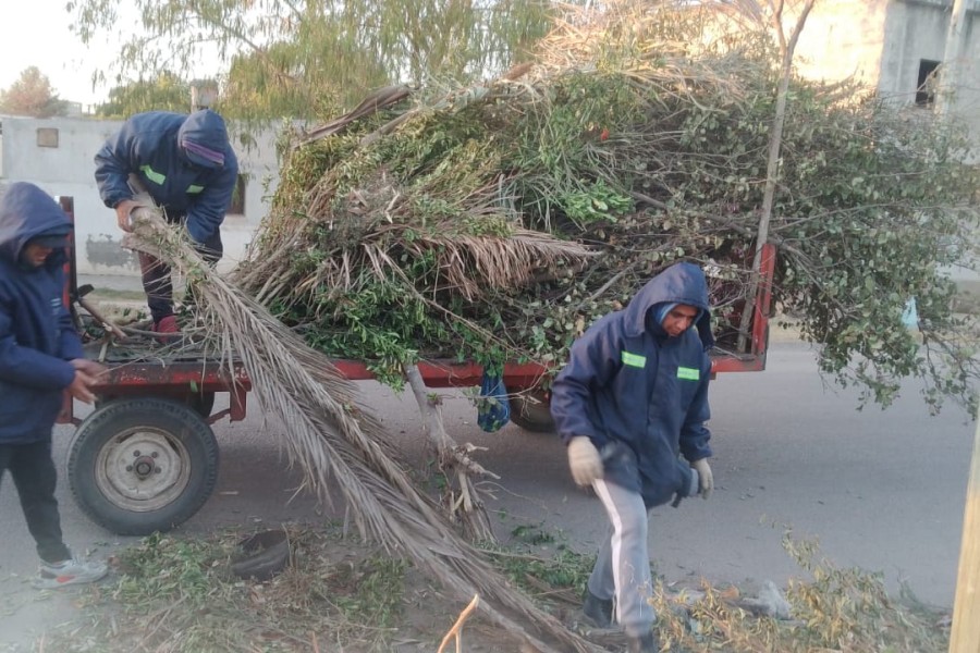 El área de Parques y Paseos inició la semana con trabajos de poda y desmalezamiento