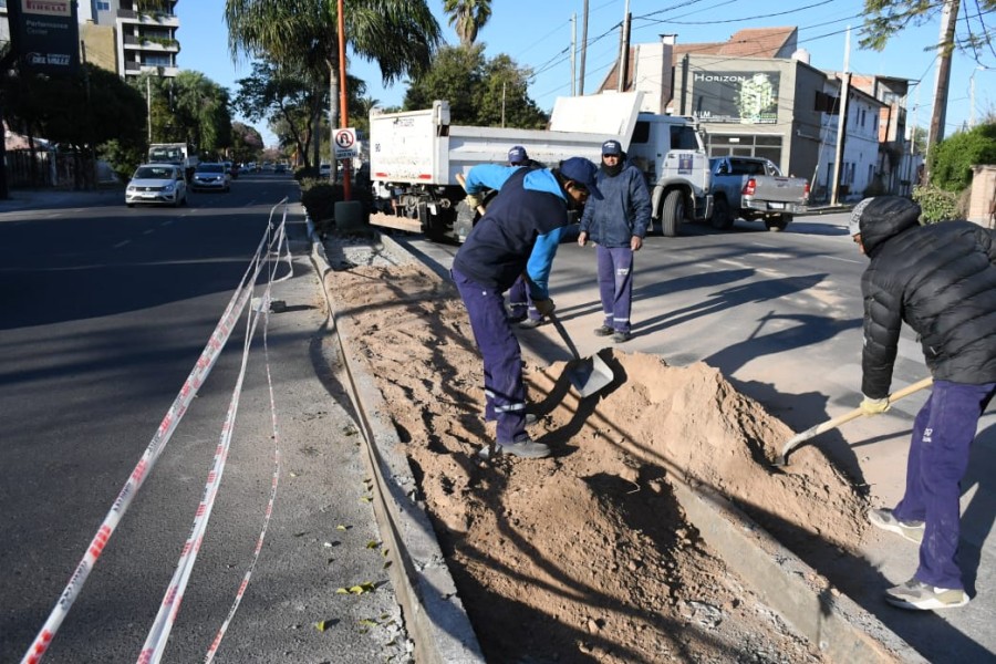 Se dio continuidad a la platabanda de la Av. Belgrano en el cruce con Ejército del Norte