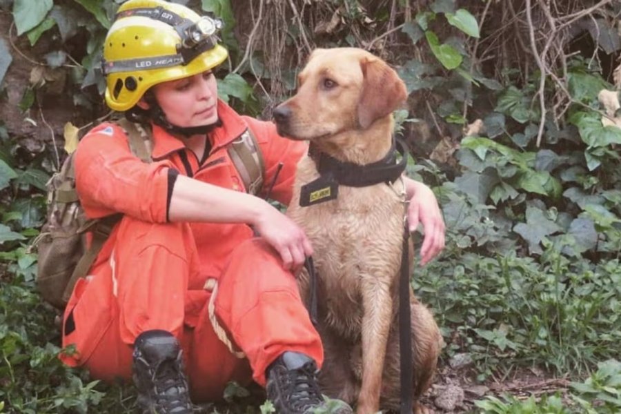 Condenaron a perpetua al extitular de Defensa Civil de Córdoba por el abuso y la muerte de una bombera