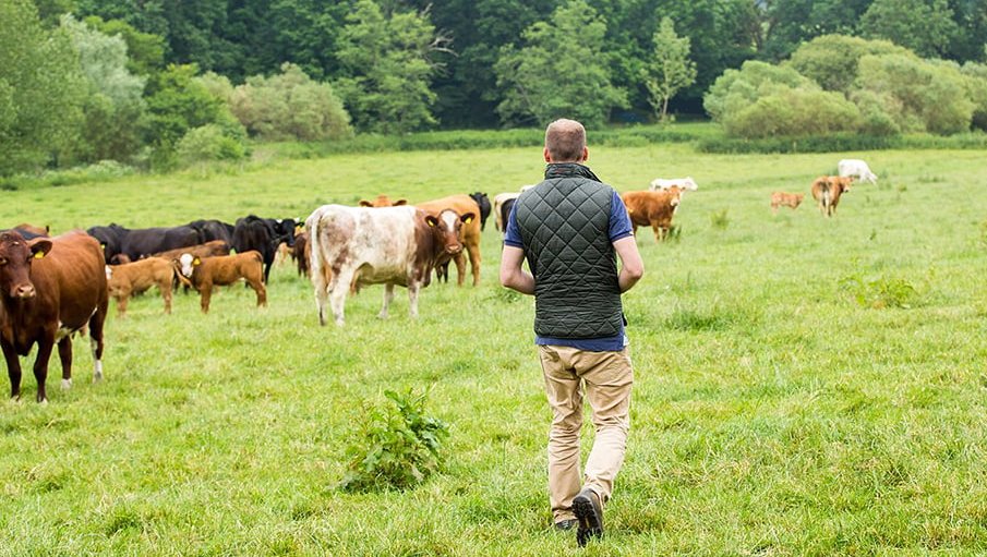 Día del Veterinario y del Ingeniero Agrónomo