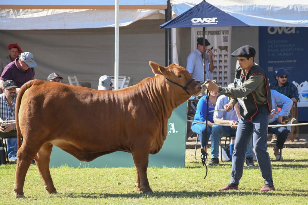 Comenzó la 17° edición de la ExpoBra en el vivero San Carlos