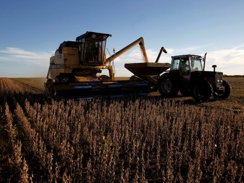 Día del Agricultor y Productor Agrario