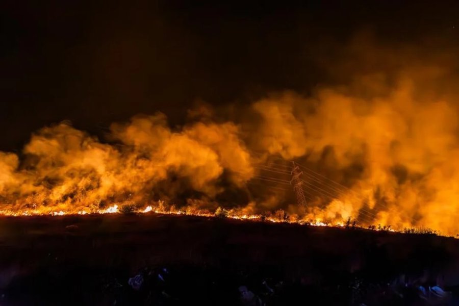 Los incendios forestales en la región occidental de Paraguay arrasaron más de 84.000 hectáreas