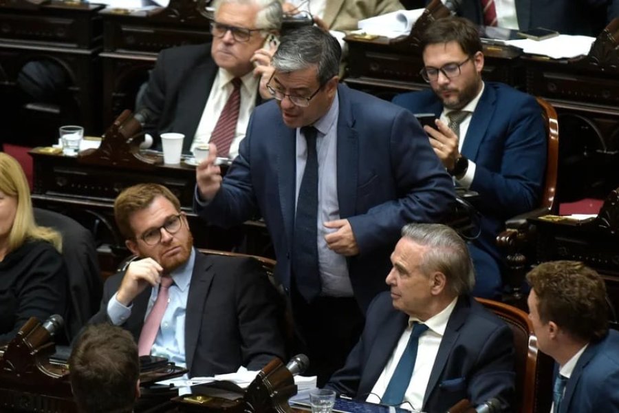 Jubilaciones: Estos son los diputados que darán quórum para rechazar el veto