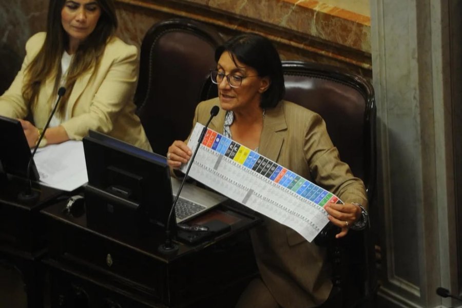 El Senado aprobó con cambios la Boleta Única de Papel y será definida en Diputados