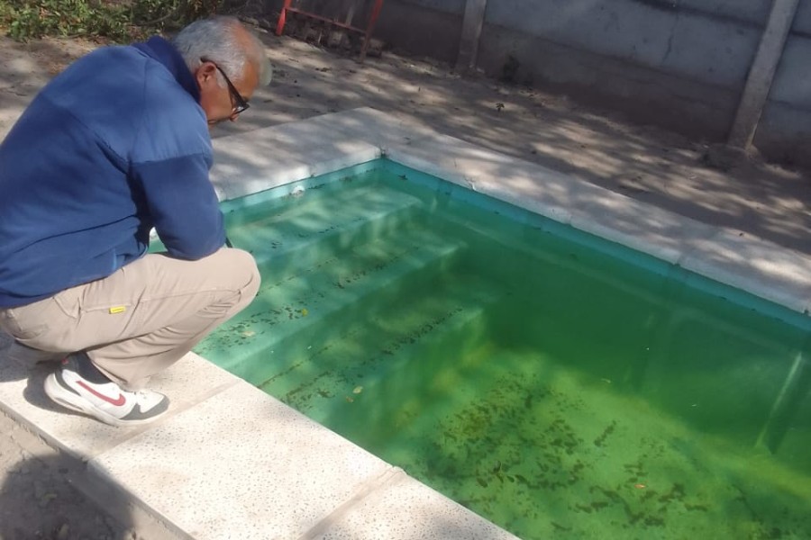 Salud de la municipalidad recolectó muestras de larvas de mosquitos dentro del programa de prevenciones