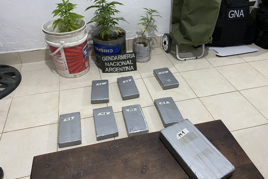 Gendarmería desbarató una organización narcocriminal que operaba en el Norte del país