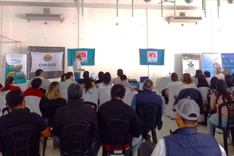 Técnicos del INTA participaron de la Jornada de Granos en Tucumán