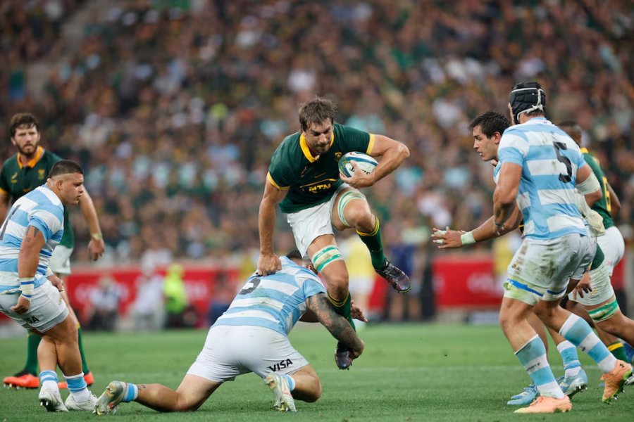 A pesar de la derrota con Sudáfrica, Los Pumas realizaron una gran actuación en el Rugby Champions