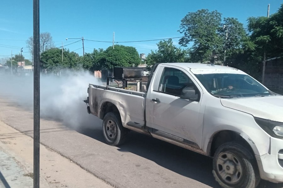 Cronograma de fumigación de esta semana