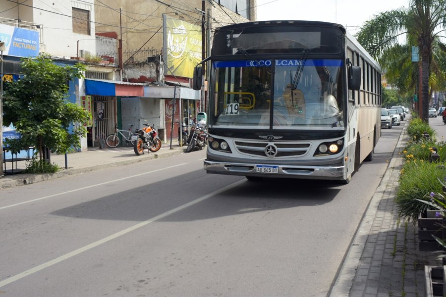 Intimaron a empresas de colectivos por no respetar derechos de personas con discapacidad