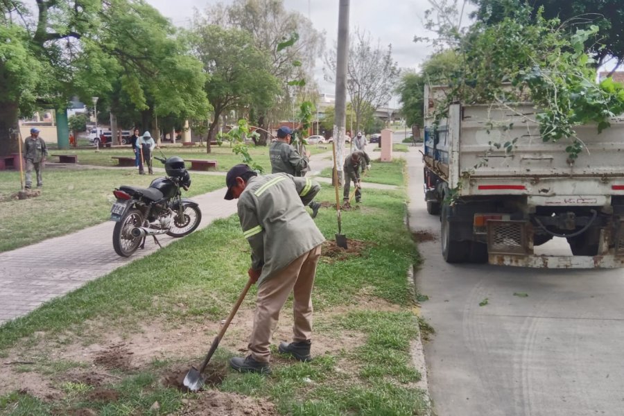 La Capital comenzó la plantación de más de 4000 árboles en el barrio Juan XXIII