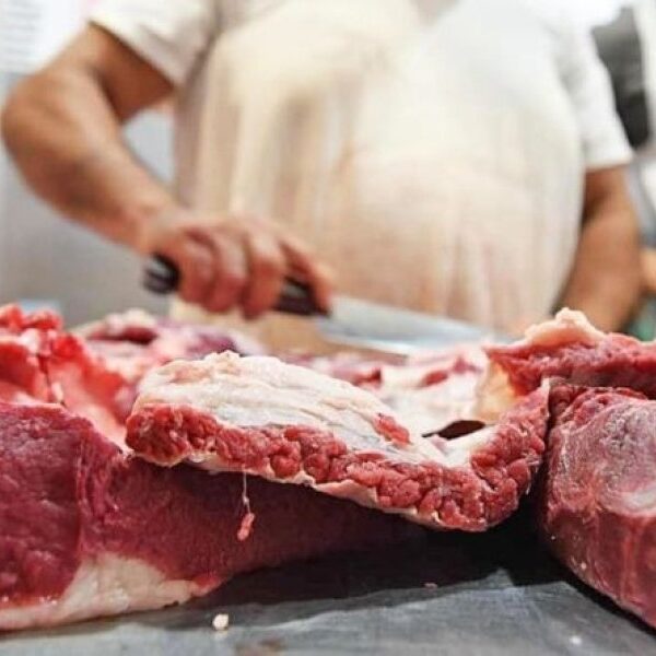 El precio de la carne tuvo un aumento del 119,3% desde enero de este año