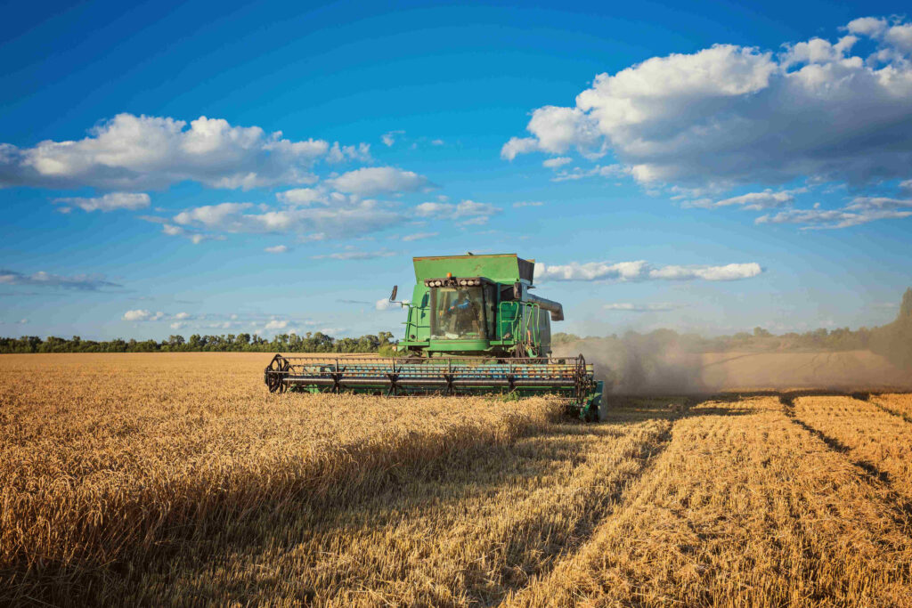 Panorama alentador: El blanqueo de capitales está favoreciendo la venta de campos y propiedades rurales