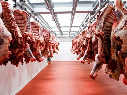 Carne: Las exportaciones alcanzaron el volumen más alto en 57 años, pero el consumo no mejora