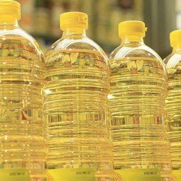 Argentina logra récord en exportaciones de aceite y subproductos de girasol tras 18 años