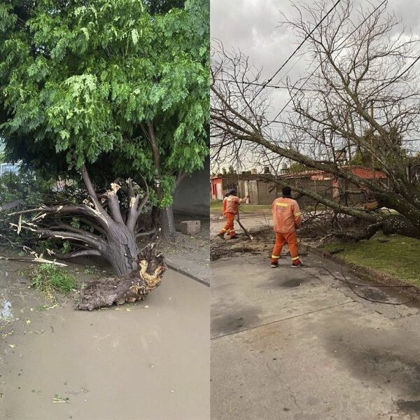 Grandes daños por la tormenta en la provincia