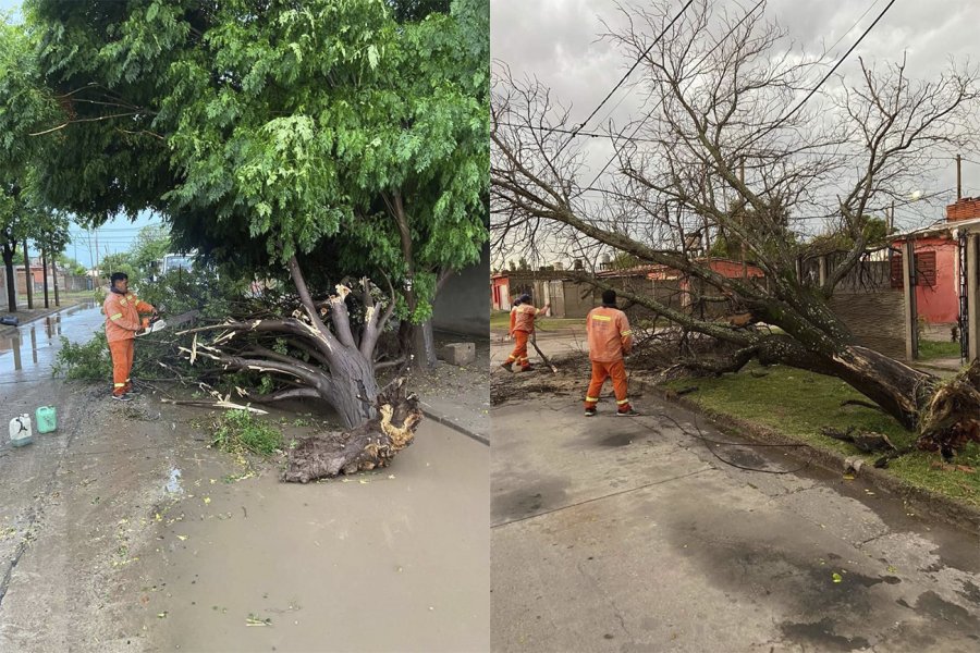 Grandes daños por la tormenta en la provincia