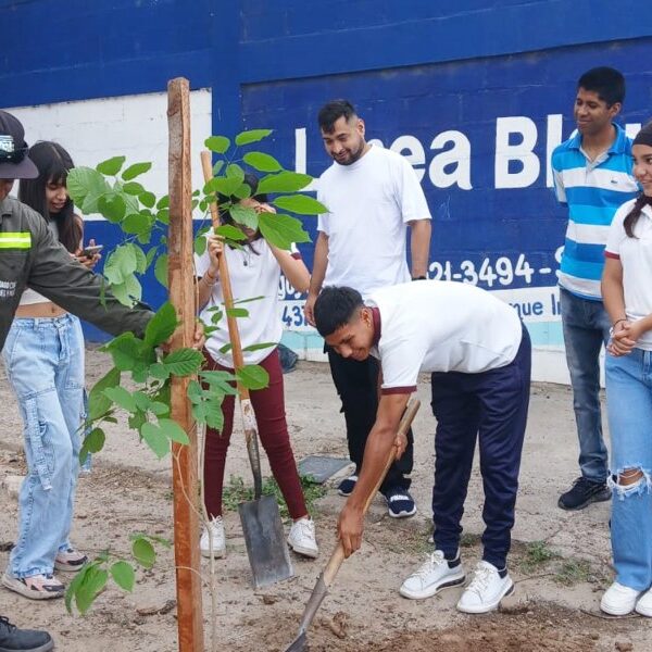 Realizan jornada de ecocanje y plantación de árboles en Bº Huaico Hondo