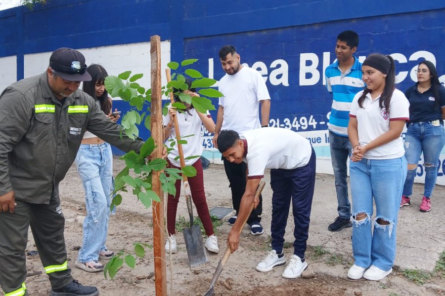 Realizan jornada de ecocanje y plantación de árboles en Bº Huaico Hondo