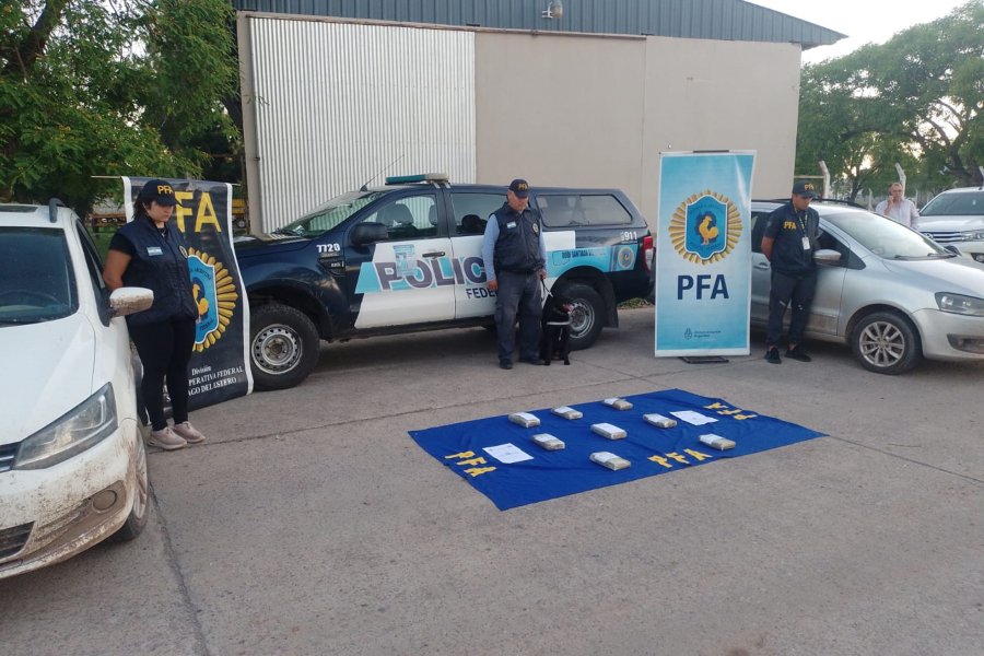 Hallan en Santiago casi 9 kilos de cocaína con el logo de El Delfín, en dos vehículos